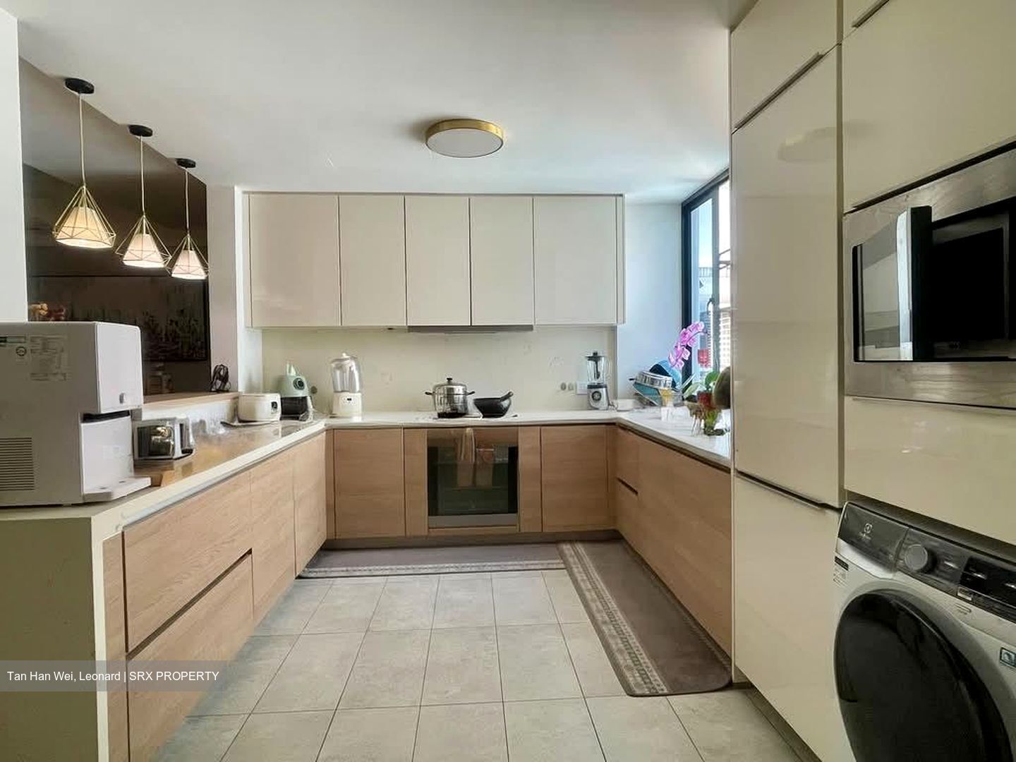Euro-Asia Park (D13), Condominium #582175021